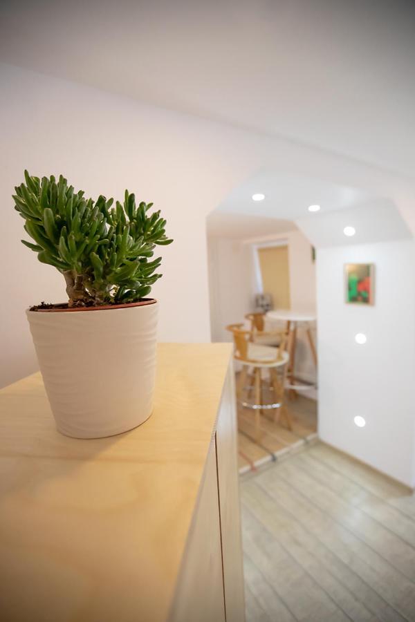Brasha Residence Braşov Extérieur photo